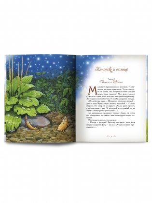 Колосок и солнце фото книги 4