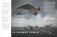Физика полетов: От первых планеров до современных коптеров фото книги маленькое 8