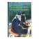 Духовная сила Русского Севера фото книги маленькое 2