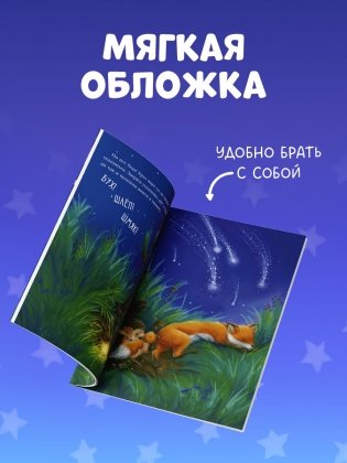 Самая звёздная ночь фото книги 7