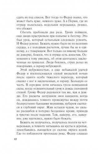 Девушка с серебряной кровью фото книги 13