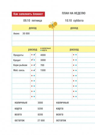 CashBook. Мои доходы и расходы фото книги 4