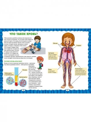 Как устроен человек. Первая энциклопедия для малышей фото книги 9