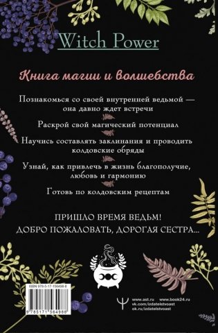 Домашняя магия. Гримуар начинающей ведьмы. Заклинания и обряды для защиты, исполнения желаний, гармонии и любви фото книги 11