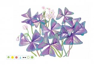 Картотека предметных картинок №32. Комнатные растения и модели ухода за ними фото книги 7