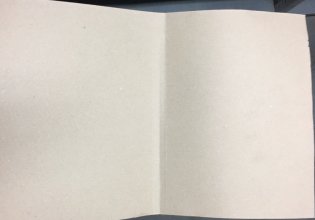 Папка-обложка "Дело" фото книги 2