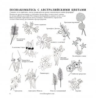 Флоросфера. Умиротворение фото книги 19