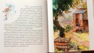Анжела и жук. Дачная сказка фото книги 6