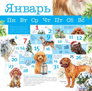 Собаки мира. Календарь для детей на 2025 год фото книги 2