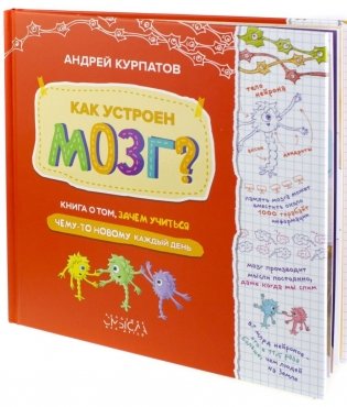 Как устроен мозг? Книга о том, зачем учиться чему-то новому каждый день фото книги