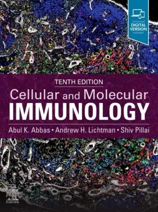 Cellular and Molecular Immunology фото книги