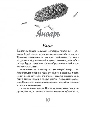 Иду по тайге фото книги 4