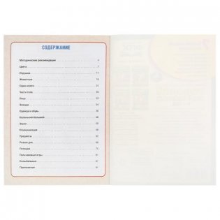 Годовой курс занятий. 0-1 год фото книги 2