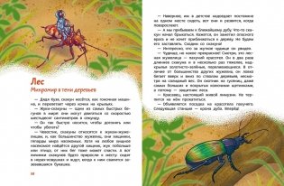 Насекомые и пауки. Детская энциклопедия (Чевостик) фото книги 4