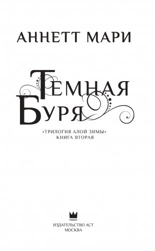 Темная буря фото книги 12