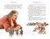 Путешествия Гулливера фото книги маленькое 7