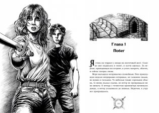 Рыцари сорока островов. Коллекционное издание фото книги 4