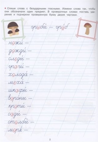 Прописи. Рабочая тетрадь. Безударные гласные фото книги 3