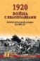 1920. Война с белополяками. Поход Красной армии на Вислу фото книги маленькое 2