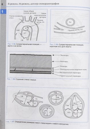 Справочник по эхокардиографии фото книги 7