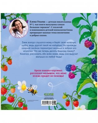 Книжки-картинки. Ёжик и лучшая мама на свете фото книги 8