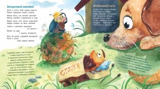 Букашки в кармашке фото книги 4