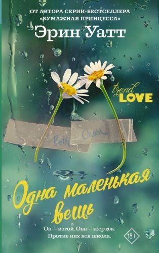 Одна маленькая вещь фото книги