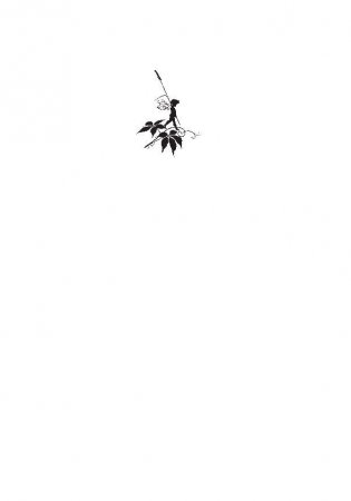 Переведи часы назад фото книги 2