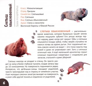 Подземные обитатели фото книги 7