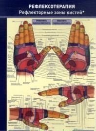 Плакат. Рефлексотерапия. Рефлекторные зоны кистей фото книги