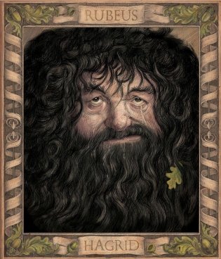 Гарри Поттер и Тайная комната фото книги 9