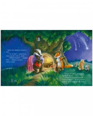 Самая звёздная ночь фото книги 9