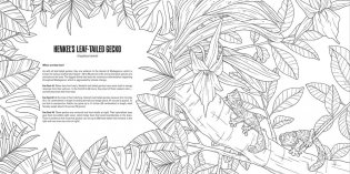 Baby animals: a smithsonian coloring book фото книги 6