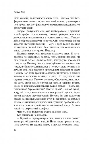 Новые Дебри фото книги 13