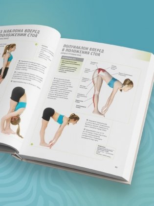 Анатомия йоги. 50 главных асан с анатомическими иллюстрациями, для начинающих и продвинутых фото книги 7