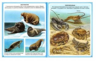 Животные фото книги 5