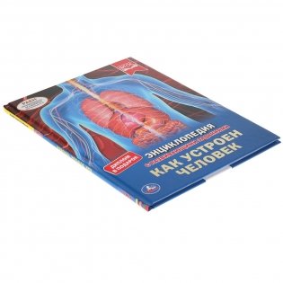 Как устроен человек. Энциклопедия с развивающими заданиями фото книги 7