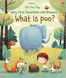 Lift-the-Flap - Very First Questions & Answers. Board book фото книги