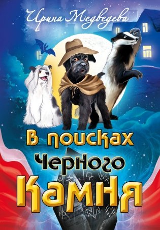 В поисках Черного Камня фото книги