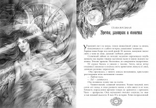 Птицелов. Коллекционное издание фото книги 4