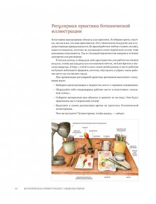 Ботаническая иллюстрация с удовольствием. Пошаговое руководство по изображению цветов, листьев, плодов и других элементов растений фото книги 11