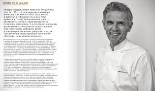 Эклеры. 20 лет эволюции (кожаный футляр) фото книги 6