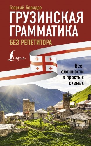 Грузинская грамматика без репетитора. Все сложности в простых схемах фото книги