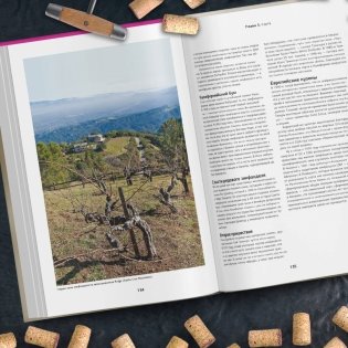 Просто о лучших винах. Новая энциклопедия. Издание 2-е, дополненное фото книги 7