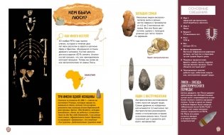 Первобытное искусство. Сокровища древних пещер фото книги 5