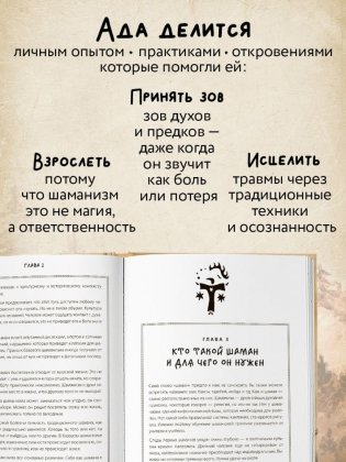 По праву Силы. Северный шаманизм. Духи и предки. фото книги 6