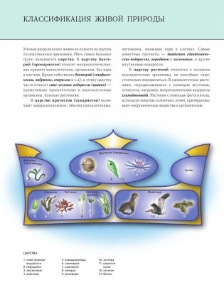 Подводный мир. Полная энциклопедия фото книги 9