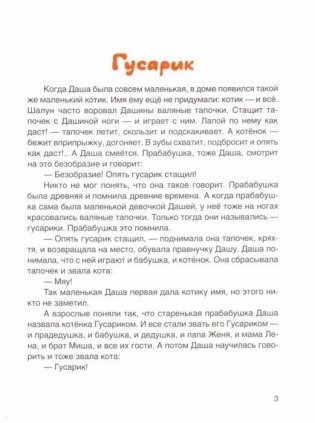 Приключения семейного кота Гусарика фото книги 3