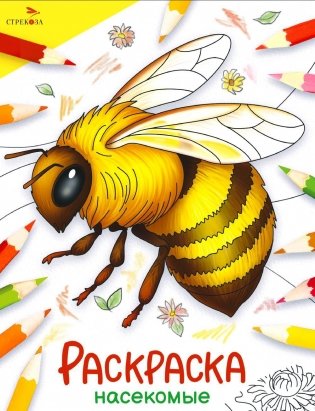 Насекомые: раскраска фото книги