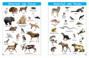 Все-все животные фото книги 4